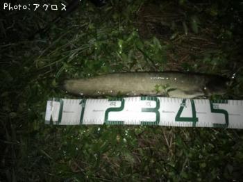 �ޥʥޥ�