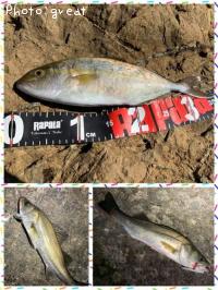 ¥·¥ç¥´¡õ¥·¡¼¥Ð¥¹