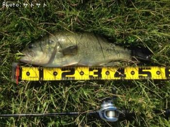 �֥�å��Х�