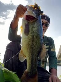 �֥�å��Х�