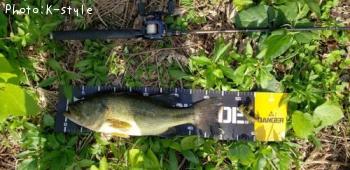 �֥�å��Х�