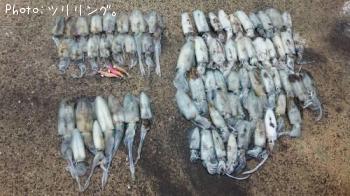 �����ꥤ��