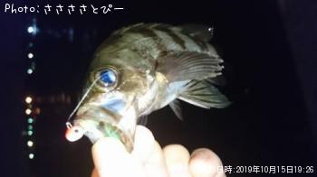 ¥á¥Ð¥ë¡õ¥¢¥¸