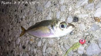 ¥á¥Ð¥ë¡õ¥¢¥¸