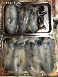 ¥¢¥ª¥ê¥¤¥«