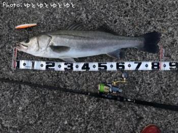 �����Х�