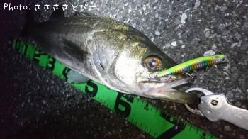 �����Х�