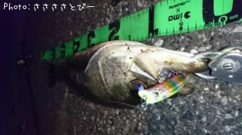 �����Х�