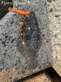 �ҥ��ʥ�����