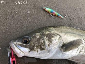 �����Х�