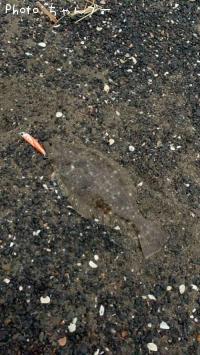 �ҥ��ʥ�����