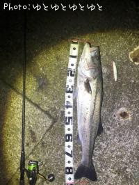 �����Х�