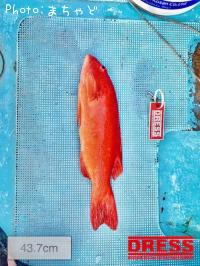 ��������ڥ��������