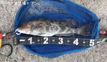 �����ʥ�