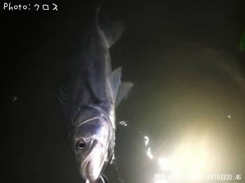 �����Х�