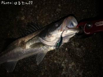 �����Х�