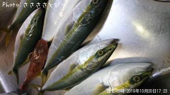 ���ʥ����ۥ��ܥ�