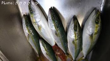 ���ʥ����ۥ��ܥ�