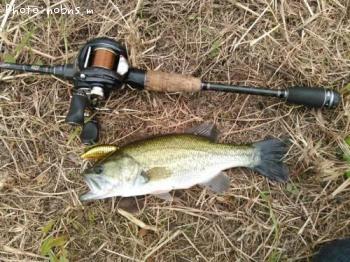 �֥�å��Х�