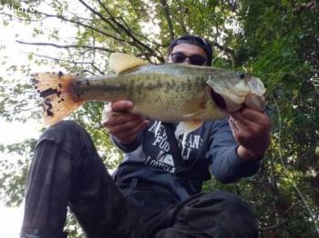 �֥�å��Х�