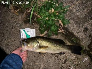 �֥�å��Х�