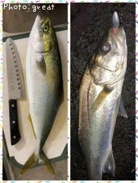 �����Х������ʥ�