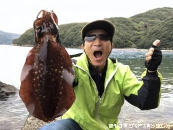 ¥¢¥ª¥ê¥¤¥«