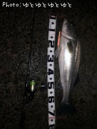 �����Х�