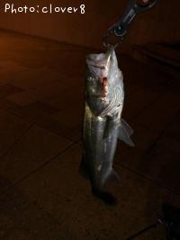 �����Х�