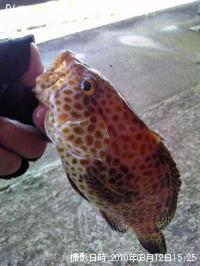 �������ϥ�