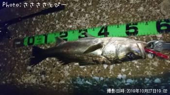 �����Х�