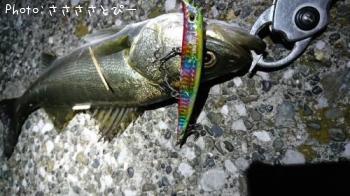 �����Х�