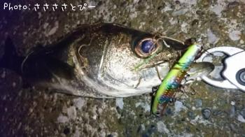 �����Х�