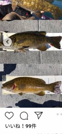 �֥�å��Х�