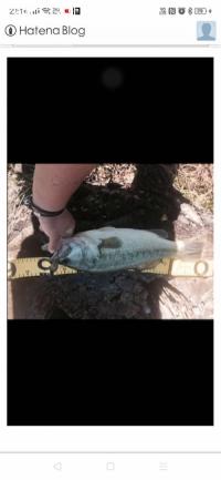 �֥�å��Х�