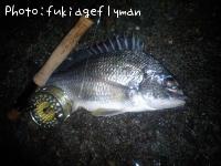 ���ӥ����