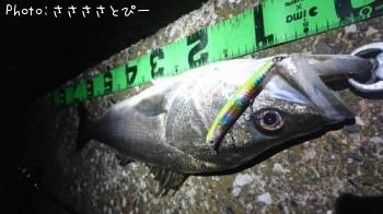 �����Х�