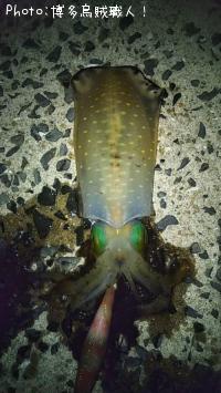 �����Х��������ꥤ��