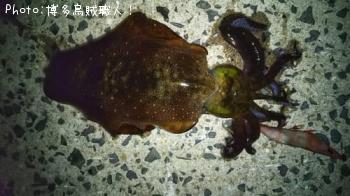 �����Х��������ꥤ��