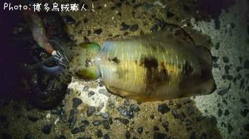 �����Х��������ꥤ��