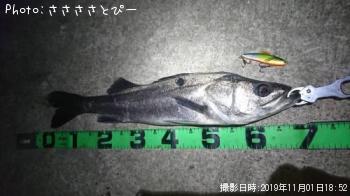 �����Х�