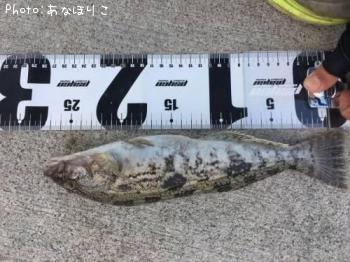 �����ʥ�