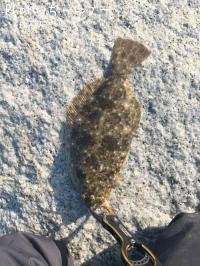 �ҥ��ʥ�����