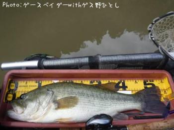 �֥�å��Х�