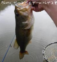 �֥�å��Х�