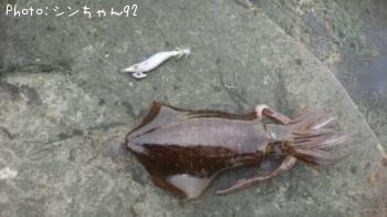 ¥¢¥ª¥ê¥¤¥«