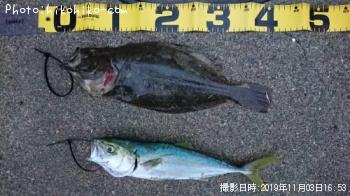 �ҥ�ᡡ�������֥�