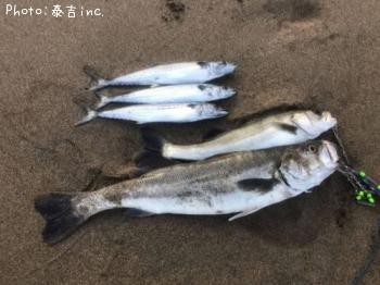 �����Х�����������