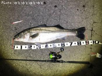 �����Х�