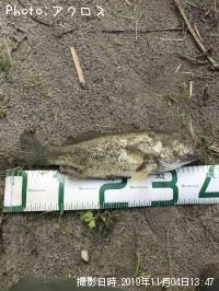 �顼���ޥ����Х�